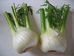 Fennel