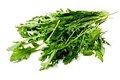 Arugula