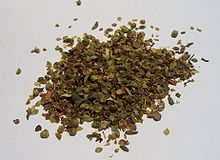 Oregano