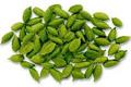 Cardamom